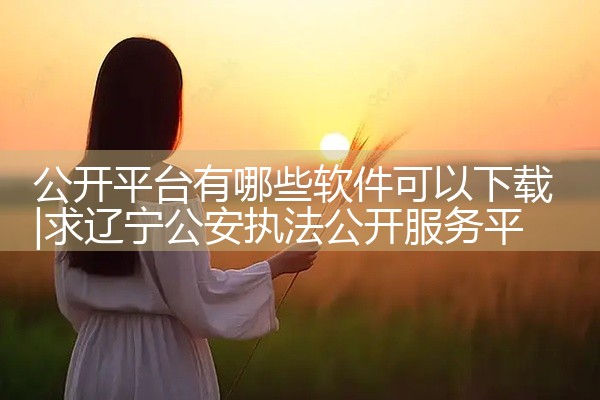 公开平台有哪些软件可以下载